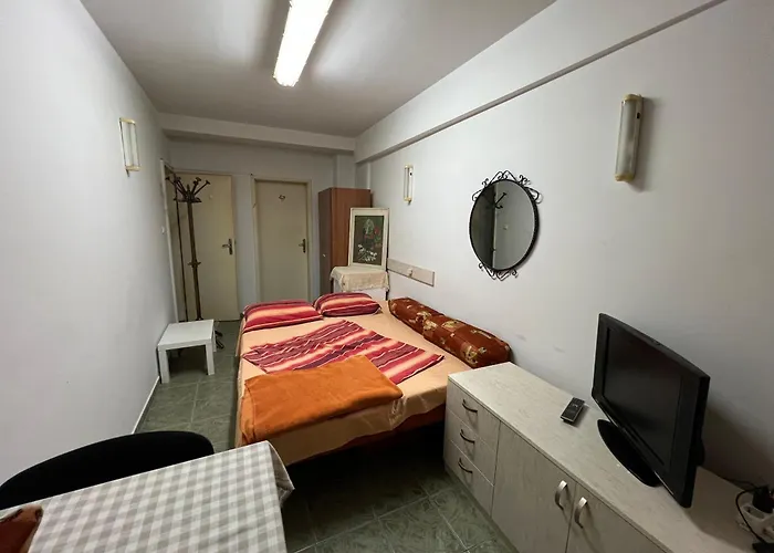 Cheep&free On The Ground Floor And Pets Friendly Appartamento *